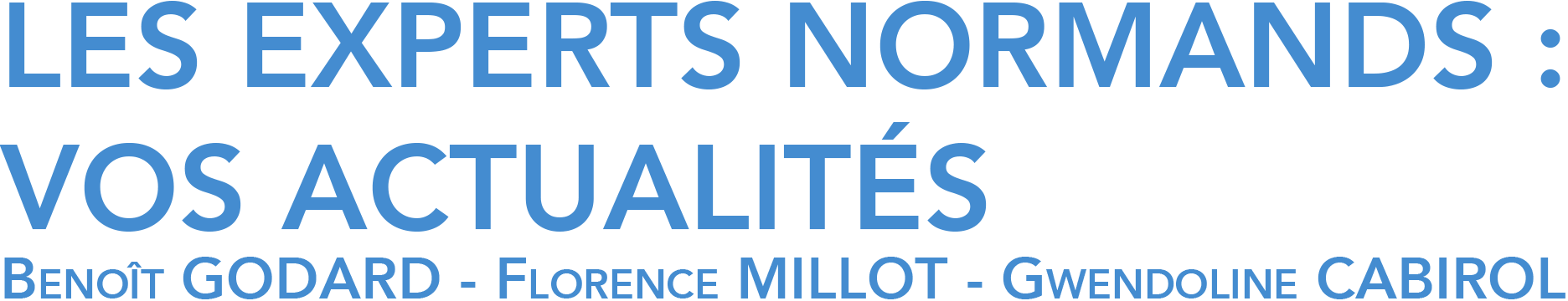 Logo Les Experts Normands